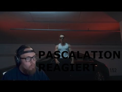 RAPIDO INTRO REACTION