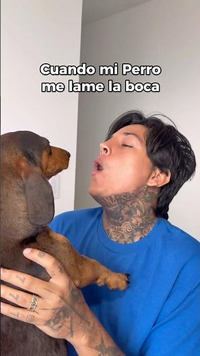 When my dog ​​licks my mouth