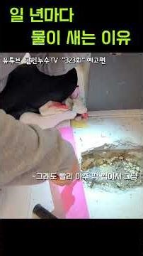 Why does my house suffer from leaks every year?