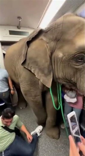 This is the definition of “wait… what?”