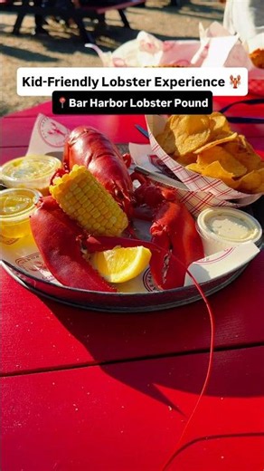🦞 Maine lobster with a side of family fun.