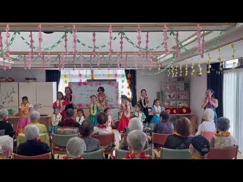 フラダンス He Mele No Lilo ヘメレノリロ リロ・アンド・スティッチ🌺