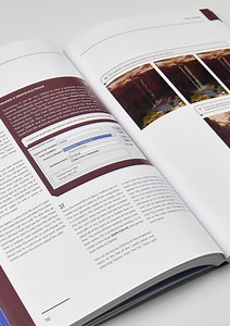 Digital Painting in Photoshop: Industry Techniques for Beginners