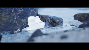 Plastic Pollution, Our Oceans, Our Future