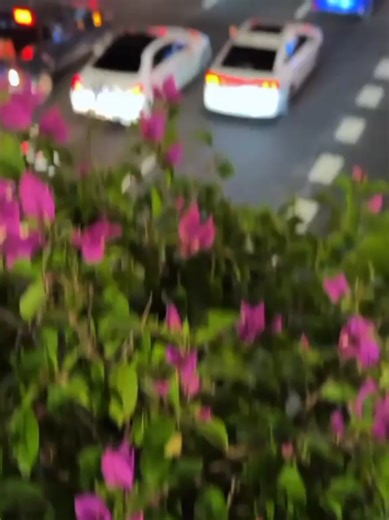 Vidéos de Don le sage ❤️‍🔥❤️‍🔥❤️‍🔥 (@roody.dacine) avec son original - Doc’Minute