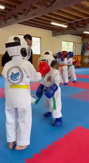 4 year old Karate Kids Practicing their Sparring Drills