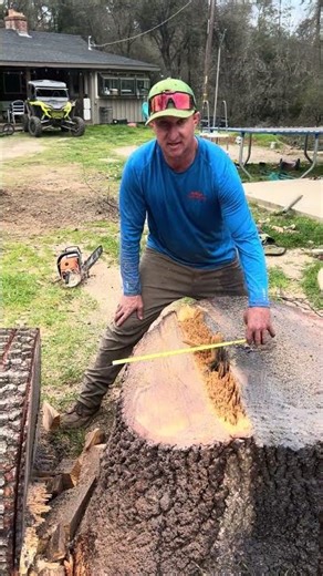 Timber falling 101 ￼