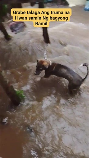 Roger Salor on Reels