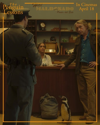 🐧THE PENGUIN LESSONS 🐧 Starring Oscar nominee Steve Coogan, this poignant dramedy from director Peter Cattaneo follows an Englishman’s personal and political awakening after he adopts a penguin during a cataclysmic period in Argentine history. 🎞️ PREVIEWS FROM WED 16 APRIL 🎟️ https://orlo.uk/Film_Times_i4SLc | The Capitol