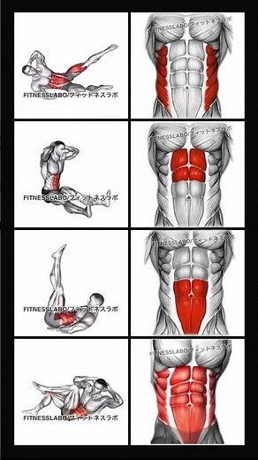 Abs Workout 🔥 No Equipment | Get Six-Pack Fast #shorts #viral #gym