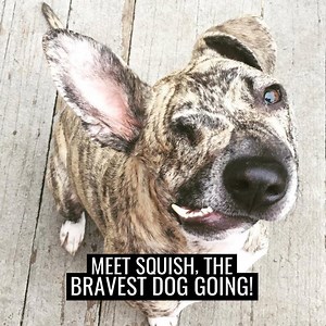 Squish was given one of the cruelest hands life could deal, but still lives life to the full every single day ❤️ | UNILAD