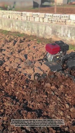 How to Efficiently Prepare Soil with a Mini Cultivator | Modern Farming Techniques