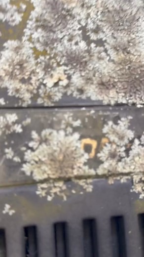 46K views · 100 reactions | From this to that 襤 #4runner #patrol | Car Builders | Facebook