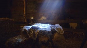 Empty Manger Lit by Light in Dark Stable