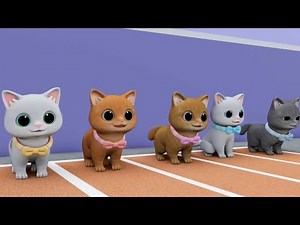 Cute Billi ke Bache🐈 | Cat Cartoon 😺| Cat Mewing | Cat Video | Meow Meow | New Cat's Funny 🤣 Video