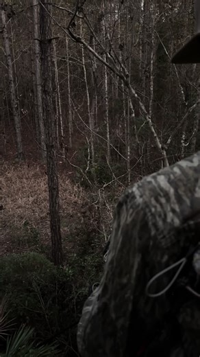 it’s about the memories more than anything #smoked #hunting#whitetail#georgia