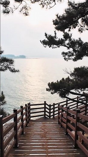 🚘 당일치기 태안 여행 | 충남 가볼만한 곳 | 백화산 구름다리 - 파도리해식동굴 - 만리포해수욕장 - 뭍닭섬 | 등산 여행 트레킹 하이킹 hiking