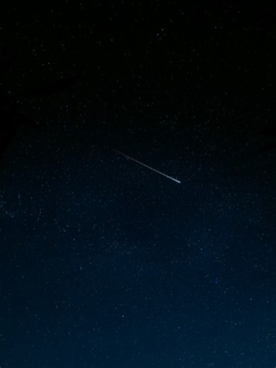 Don't forget to look up.