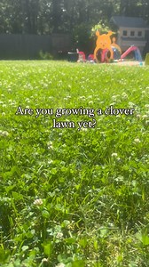 31K views · 6K reactions | Transforming your lawn into a vibrant...