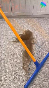 Pet owners hack | Funny Videos Factory