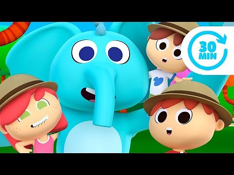🐊 LOS ANIMALES DEL ZOO 🐘🦁 CANCIONES DEL ZOO 🐵 ¡ESTRENO! 🌈 DIBUJOS ANIMADOS PARA NIÑOS