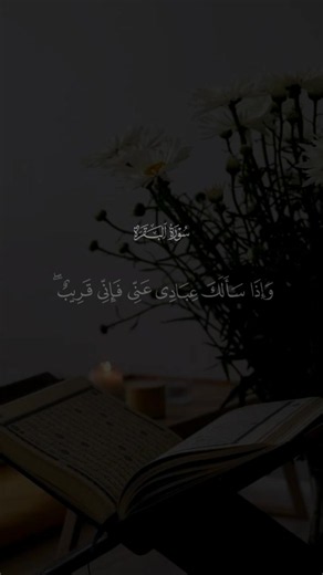 من سورة البقرة 🤍 مشاري العفاسي ❤ #quran #مشاري_العفاسي #قران_كريم #اكتب_شي_توجر_عليه #تلاوة_خاشعة_صوت_يدخل_قلب