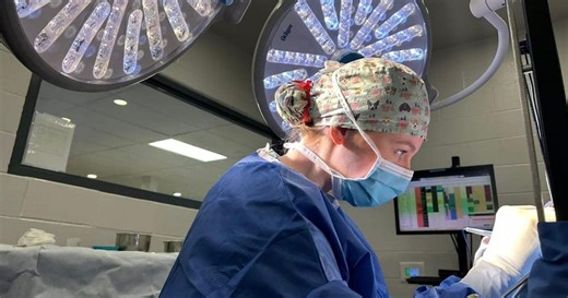 New research focuses on breathing issues associated with pug-nosed dogs