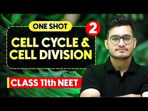 CELL CYCLE & CELL DIVISION - Complete Chapter in One Video || Concepts+PYQs || Class 11th NEET