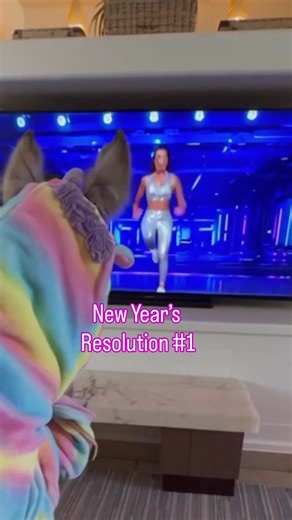 Me after 3 seconds of motivation #fitness #fitnessjourney #fitnessgoals #funnyvideos #pony