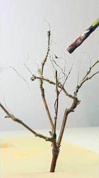 HOW to MAKE a miniature TREE