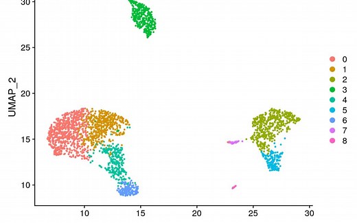 十分钟理解Umap是什么——适合反复观看学习
