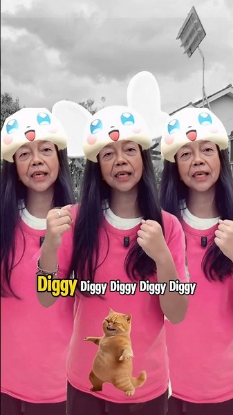 Diggy diggy hei song