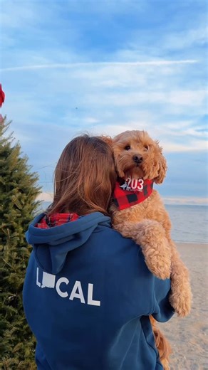 Connecticut’s Lifestyle Brand | The 203 | CT on Instagram: "Our flannel-lined 203 Local hoodies are HERE, and they understood the assignment 🔥 Extra warm, extra soft, and made for winters in Connecticut. They’re officially the coziest thing we’ve ever made, and trust us... you’re never taking this one off. 🚨Last time these dropped, they disappeared in 4 days. Run, dont walk. ✨Direct link in bio✨ #ShopSmallCT #ctlifestyle #the203"