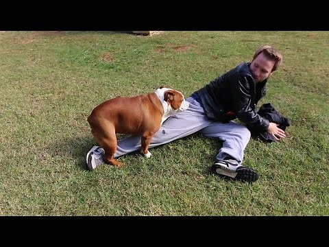 ANGRY GRANDPA IS REAL!