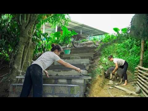 Design and build a complete staircase. Double the joy when the lost pig returns | Ly Tu Linh.