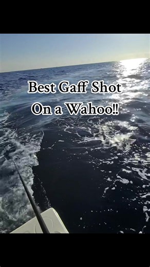 Best Gaff Techniques for Catching Wahoo Fish
