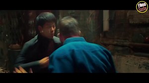 IP MAN 4