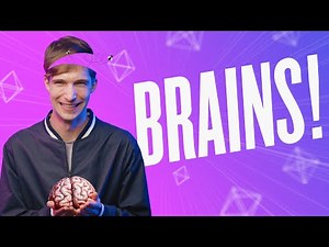 Neural Network Explained