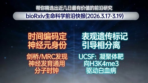 bioRxiv生命科学前沿快报(2026.3.17-3.19) | 时间编码决定神经元身份；表观遗传标记引导相分离