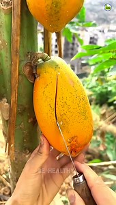 Facts wol | 99% लोग नहीं जानते😱💪😎| Amazing Fact About Food | भोजन के बारे में रोचक तथ्य Top10 facts #facts #viral #trending #shorts health ayurved tips | Be healthy