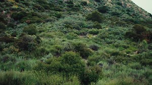 We are excited to announce our final Milk! Records release; an instrumental album by courtney barnett- End Of The Day (music from the film Anonymous Club). Out Sep 8th 💚💙💚 Comprised of 17 improvisations in collaboration with Stella Mozgawa, these pieces were originally composed as part of the score to the documentary by Danny Cohen. The first three tracks are available to stream now, "Start Somewhere", "Life Balance" and "First Slow", alongside a visual accompaniment directed by film-maker Cl