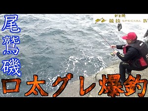 【三重県・尾鷲磯】がま磯・グレ競技SPECIAL Ⅳ1,5－50竿おろし！！