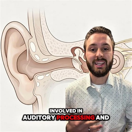 Ringing in your ears doesn’t always mean ear damage.