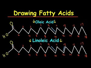 How to draw fatty acids - CH1002 TUTORIAL SHEET 6 2025