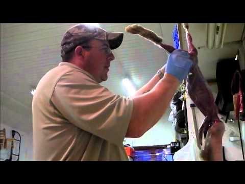 23. Field Dressing A Rabbit