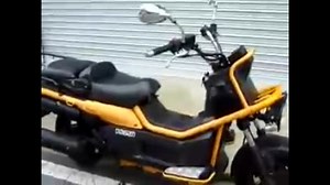HONDA　PS250