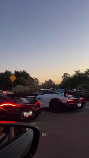 Luxury Lifestyle Predictions for 2028