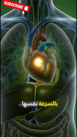 كيف تغير قطرة عسل واحدة صحتك في ثوانٍ؟