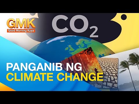 Causes and Effects of Climate Change | Now You Know