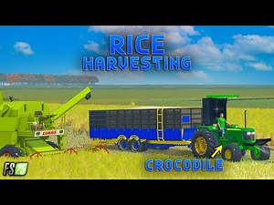 Rice harvesting with @Happy_Goldsmith | FS25 | Gillop